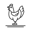 hen_7266721 hen_7266721